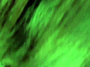 My sister-in-law visits, and I fuck her?