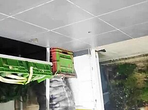 spying upskirt under skirt in store