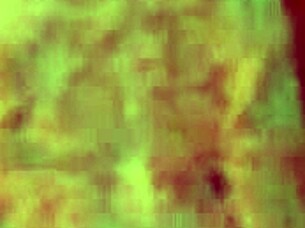 woman preparing for live broadcast showing tits and ass