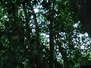 Ma�tresse kantalis offers her slave ebed in the forest.