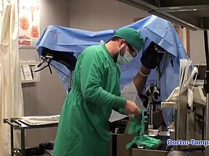 dr tampa - human guinea pigs - phoenix rose