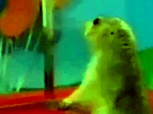 What Is The Size Of Your Big Cock Versus Mine?