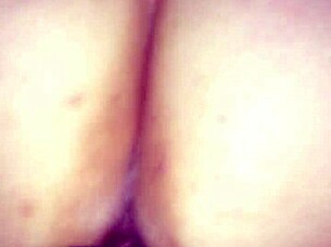 A Homemade Video Featuring a Cougar Riding in an Amateur Scene