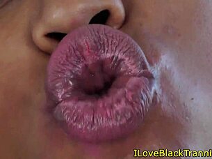 Ebony shemales tug together on sofa