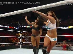 nikki bella vs naomi in extreme rules match 2015