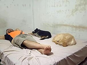 dancer bounces on cousin's dick passionately