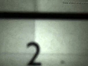 fight night with alexandria wu and clifford bryant