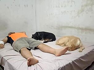 dancer bounces on cousin's dick passionately