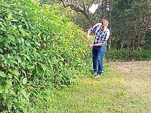 Jardineiro Mega-Dotado Macetando Pica Grossa Ate Gozar Urso Brasileiro Fodendo Caceta Ate Jorrar Leite Dotado Tocando Punheta Na Fazenda