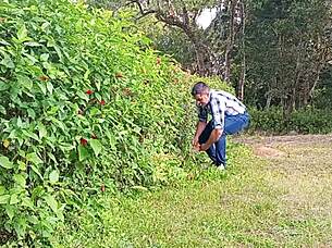 Jardineiro Mega-Dotado Macetando Pica Grossa Ate Gozar Urso Brasileiro Fodendo Caceta Ate Jorrar Leite Dotado Tocando Punheta Na Fazenda