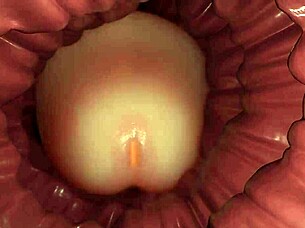 I cumflate my pregnant wife in the toilet