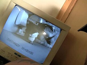 Ashley blows Chris through the gloryhole