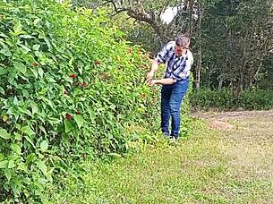 Jardineiro Mega-Dotado Macetando Pica Grossa Ate Gozar Urso Brasileiro Fodendo Caceta Ate Jorrar Leite Dotado Tocando Punheta Na Fazenda
