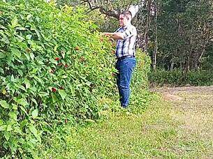 Jardineiro Mega-Dotado Macetando Pica Grossa Ate Gozar Urso Brasileiro Fodendo Caceta Ate Jorrar Leite Dotado Tocando Punheta Na Fazenda