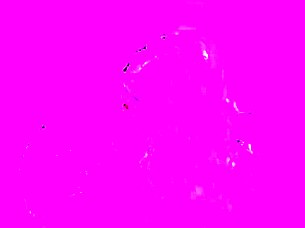 we tease the shy college guy at the outdoor party to get his big dick for bisexual fun