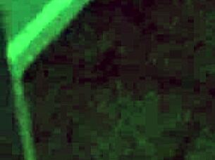 you watch your long-haired neighbor showering