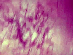 wet pussy creampied hard