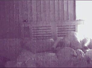 Amateur Brunette Couple Moans Loudly While Fucking Intensely