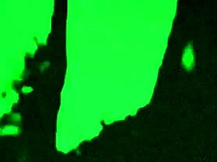 Whats My Wife Doing with This Stranger Sucking BBW Fat