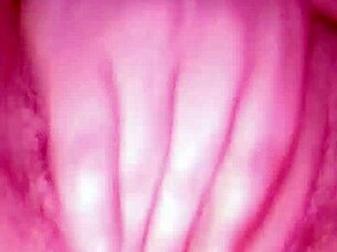 Whatsapp sex session with underwear camshot