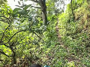 Busty Latina Caught Trespassing Give Me That Pussy Or I Will Call The Police Yenifer Chacon V Valentino Roca