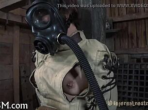 demeaning a cute couple in bdsm play