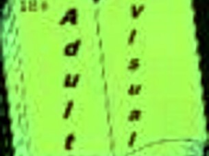 Exploring the Adventures in Harem Hotel 325 Game Series