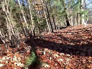 clitlicker662 - update 23 - img 1265 - dec 12 2024