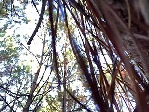 clitlicker662 - update 23 - img 1265 - dec 12 2024