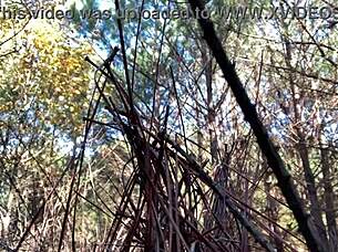 clitlicker662 - update 23 - img 1265 - dec 12 2024