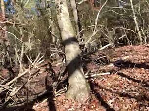 clitlicker662 - update 23 - img 1265 - dec 12 2024