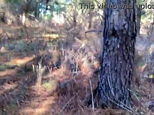 clitlicker662 - update 23 - img 1265 - dec 12 2024