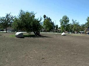 piper austin says, 'fuck my shaved pussy in lingerie'