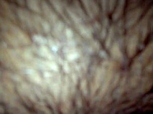 i creampie her wet shaved pussy every time, tight orgasm amateurs.