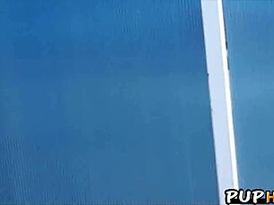 Hot Teen Tracy Anderson Fucked Hard in Public Pickup