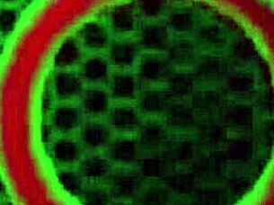 richelle ryan gets jizzed by rome major fucking big ass milf