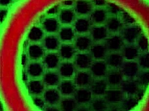 Does Hairy Pussy Jelena Jensen Want To Play With Her Big Boobs During Solo Masturbation?