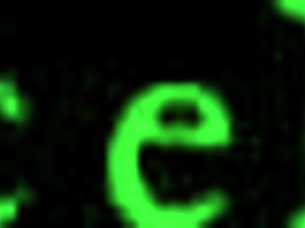 bound teen in hogtied position for the scene