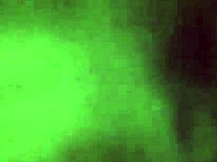 African And Asian Marriage Before Death In Cultural Context