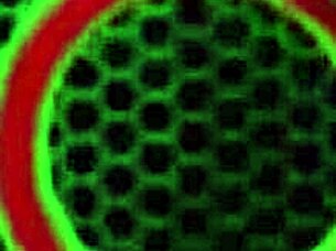 Masturbation By The Pool Sara Jay Squirts With Dildo!