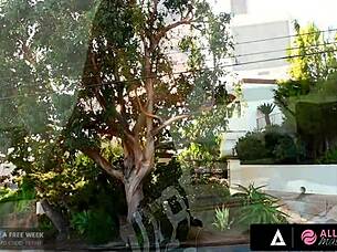 ashley adams fingers and facefucks until she squirts!