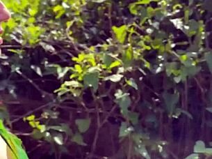 Married hotwife humiliated in orgy with big black cock cumshot