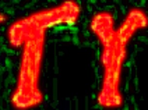 Slutty Serenity Sucks Cock Through Gloryhole for Cum Facial