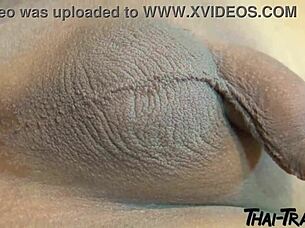 Stunning Asian transsexual strokes her cock in hooker outfit