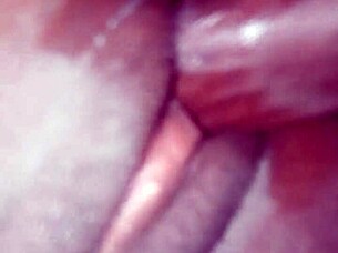 my girlfriend's small tits on my cock