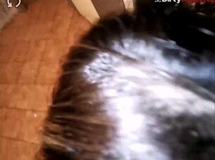 Voracious lover, I cum on her face twice