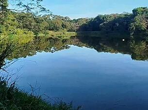 pego fortão no mato e maceto 😈