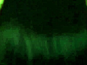 My Girlfriend Makes Me Cum With Her Big Ass