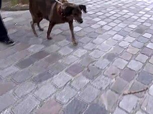 mature chubby blonde with huge tits gets rough group threesome