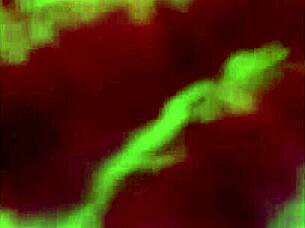 la potra aleja sends a beautiful message to followers